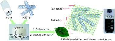 Graphical abstract: Leaf-inspired interwoven carbon nanosheet/nanotube homostructures for supercapacitors with high energy and power densities