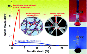 Graphical abstract: Ultrahigh-performance electrospun polylactide membranes with excellent oil/water separation ability via interfacial stereocomplex crystallization