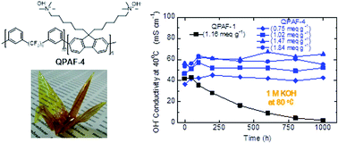 Graphical abstract: Robust anion conductive polymers containing perfluoroalkylene and pendant ammonium groups for high performance fuel cells