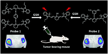 Graphical abstract: Near-infrared fluorescent probes for the detection of glutathione and their application in the fluorescence imaging of living cells and tumor-bearing mice