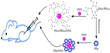 Graphical abstract: Redox-responsive hyperbranched poly(amido amine) and polymer dots as a vaccine delivery system for cancer immunotherapy