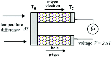 Graphical abstract: Thermoelectric properties of two-dimensional transition metal dichalcogenides