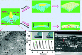 Graphical abstract: A flexible and self-formed sandwich structure strain sensor based on AgNW decorated electrospun fibrous mats with excellent sensing capability and good oxidation inhibition properties
