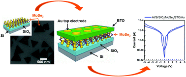 Graphical abstract: Resistive switching in MoSe2/BaTiO3 hybrid structures