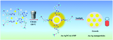 Graphical abstract: Hydrothermal synthesis of novel photosensitive gold and silver bimetallic nanoclusters protected by adenosine monophosphate (AMP)