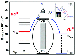 Graphical abstract: Sensitization of near-infrared LnIII [Ln = Yb or Nd] ions using water-soluble, band gap tuneable 3-MPA-capped CdS nanoparticles