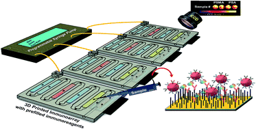 Graphical abstract: Automated 4-sample protein immunoassays using 3D-printed microfluidics
