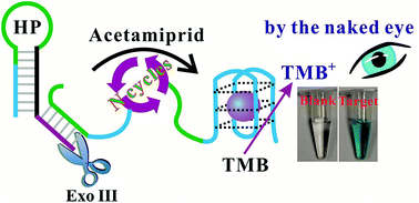 Graphical abstract: A target-induced and equipment-free biosensor for amplified visual detection of pesticide acetamiprid with high sensitivity and selectivity