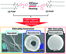 Graphical abstract: Light-triggered self-assembly of a cyanostilbene-conjugated glutamide from nanobelts to nanotoroids and inversion of circularly polarized luminescence