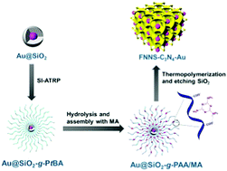 Graphical abstract: Construction of functional nanonetwork-structured carbon nitride with Au nanoparticle yolks for highly efficient photocatalytic applications