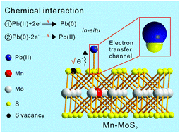 Graphical abstract: Defect- and phase-engineering of Mn-mediated MoS2 nanosheets for ultrahigh electrochemical sensing of heavy metal ions: chemical interaction-driven in situ catalytic redox reactions
