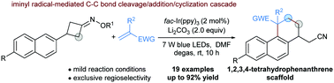 Graphical abstract: A photocatalytic iminyl radical-mediated C–C bond cleavage/addition/cyclization cascade for the synthesis of 1,2,3,4-tetrahydrophenanthrenes