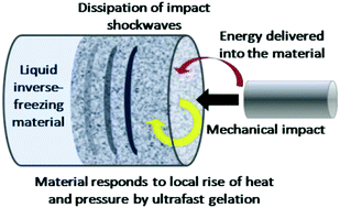 Graphical abstract: Impact-induced gelation in aqueous methylcellulose solutions
