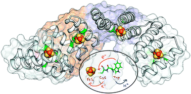Graphical abstract: Repeat proteins as versatile scaffolds for arrays of redox-active FeS clusters