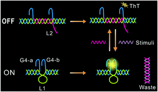 Graphical abstract: Dynamic split G-quadruplex programmed reversible nanodevice