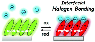 Graphical abstract: Electrochemically driven interfacial halogen bonding on self-assembled monolayers for anion detection
