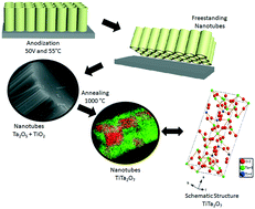 Graphical abstract: Syntheses and structural understanding of a Ti–Ta alloy-based nanotubular oxide photocatalyst