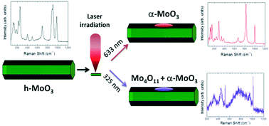Graphical abstract: In situ local assessment of laser irradiation-induced phase transformations in hexagonal MoO3 microrods