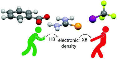 Graphical abstract: Cooperativity between hydrogen- and halogen bonds: the case of selenourea