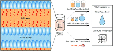 Graphical abstract: Structural and rheological changes of lamellar liquid crystals as a result of compositional changes and added silica nanoparticles