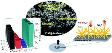 Graphical abstract: Tracking the interfacial charge transfer behavior of hydrothermally synthesized ZnO nanostructures via complementary electrogravimetric methods