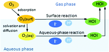 Graphical abstract: A revisit of the interaction of gaseous ozone with aqueous iodide. Estimating the contributions of the surface and bulk reactions