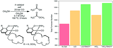 Graphical abstract: Salt-promoted catalytic methanol carbonylation using iridium pincer-crown ether complexes