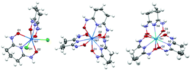 Graphical abstract: Complexation-assisted reduction: complexes of glutaroimide-dioxime with tetravalent actinides (Np(iv) and Th(iv))