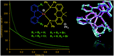 Graphical abstract: Luminescent copper(i) complexes with bisphosphane and halogen-substituted 2,2′-bipyridine ligands