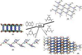 Graphical abstract: Air and moisture stable covalently-bonded tin(ii) coordination polymers