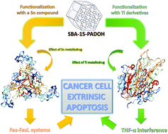 Graphical abstract: Modulation of the mechanism of apoptosis in cancer cell lines by treatment with silica-based nanostructured materials functionalized with different metallodrugs