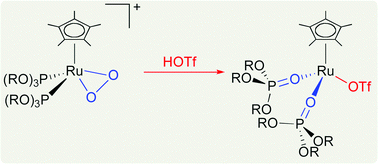 Graphical abstract: Preparation and reactivity of half-sandwich dioxygen complexes of ruthenium