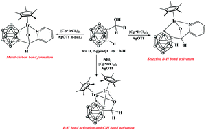 Graphical abstract: Regioselective B–H/C–H activation and metal–metal bond formation induced by half-sandwich metals complexes at hydroxy-substituted o-carboranes