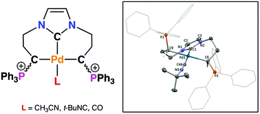 Graphical abstract: Palladium(ii) pincer complexes of a C,C,C-NHC, diphosphonium bis(ylide) ligand