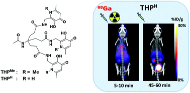 Graphical abstract: Tuning the properties of tris(hydroxypyridinone) ligands: efficient 68Ga chelators for PET imaging
