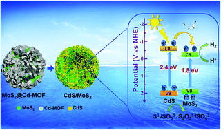 Graphical abstract: Construction of CdS/MoS2 heterojunction from core–shell MoS2@Cd-MOF for efficient photocatalytic hydrogen evolution
