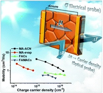 Graphical abstract: Elucidating the long-range charge carrier mobility in metal halide perovskite thin films