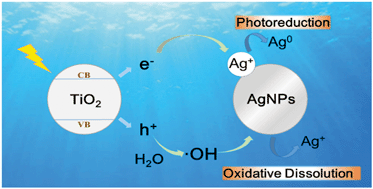 Graphical abstract: Impacts of titanium dioxide nanoparticles on transformation of silver nanoparticles in aquatic environments
