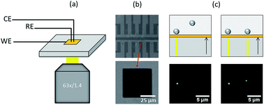 Graphical abstract: The promise of antireflective gold electrodes for optically monitoring the electro-deposition of single silver nanoparticles