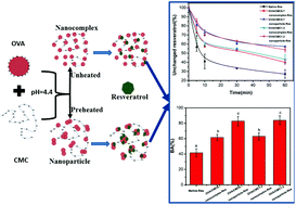 Graphical abstract: Enhancing the photostability and bioaccessibility of resveratrol using ovalbumin–carboxymethylcellulose nanocomplexes and nanoparticles