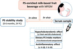 Graphical abstract: A positive impact on the serum lipid profile and cytokines after the consumption of a plant sterol-enriched beverage with a milk fat globule membrane: a clinical study