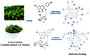 Graphical abstract: Inhibition of α-glucosidase and α-amylase by flavonoid glycosides from Lu'an GuaPian tea: molecular docking and interaction mechanism