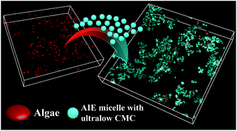 Graphical abstract: Surfactant-assisted algal flocculation via aggregation-induced emission with an ultralow critical micelle concentration