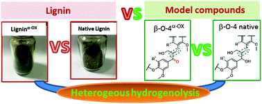 Graphical abstract: Is oxidation–reduction a real robust strategy for lignin conversion? A comparative study on lignin and model compounds