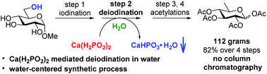 Graphical abstract: Calcium hypophosphite mediated deiodination in water: mechanistic insights and applications in large scale syntheses of d-quinovose and d-rhamnose