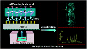 Graphical abstract: In situ visualization of hydrophilic spatial heterogeneity inside microfluidic chips by fluorescence microscopy