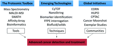 Graphical abstract: Tissue and plasma proteomics for early stage cancer detection