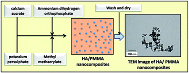 Graphical abstract: Synthesis of a hydroxyapatite/poly(methyl methacrylate) nanocomposite using dolomite