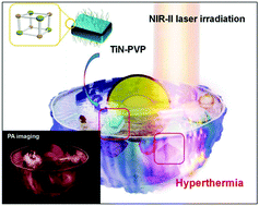 Graphical abstract: Photonic cancer nanomedicine using the near infrared-II biowindow enabled by biocompatible titanium nitride nanoplatforms