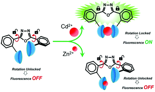 Graphical abstract: CdII/ZnII discrimination using 2,5-diphenyl[1,3,4]oxadiazole based fluorescent chemosensors